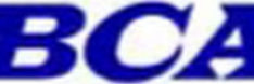 Brockton Community Access Cable Logo