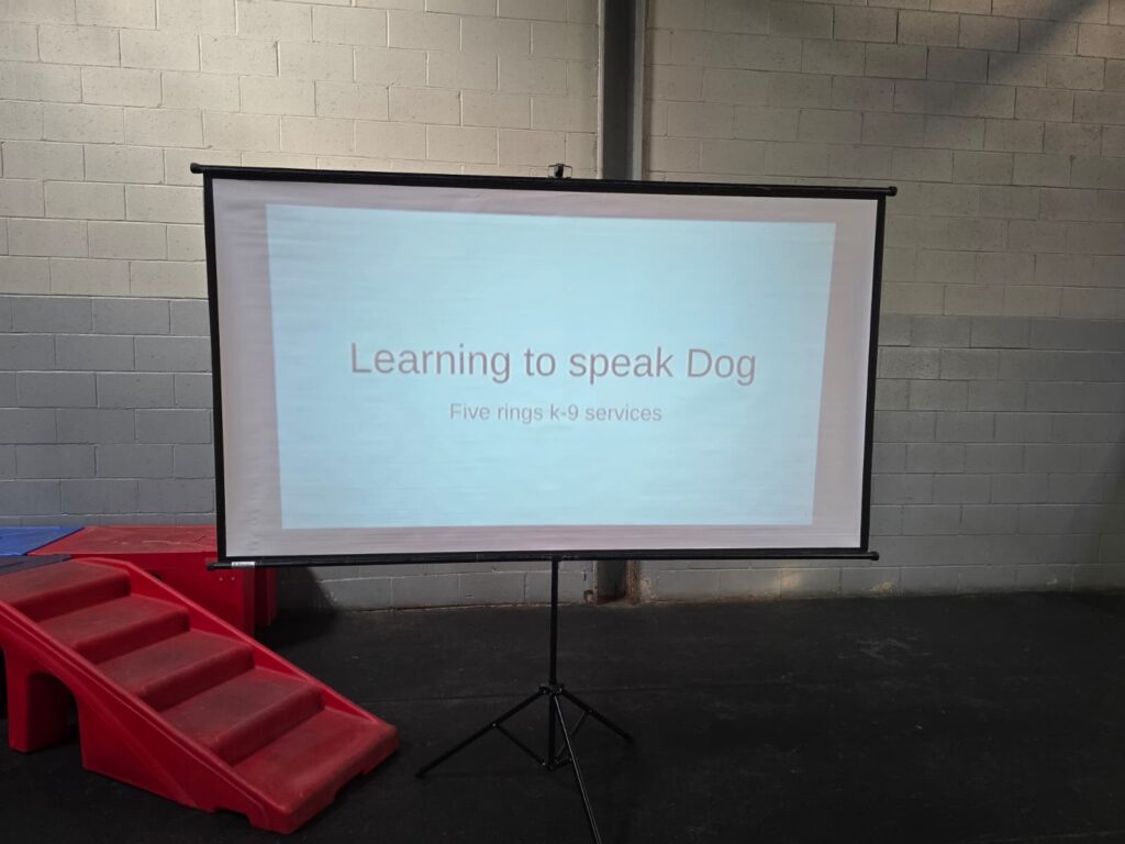 Canine Body Language Training pic 1