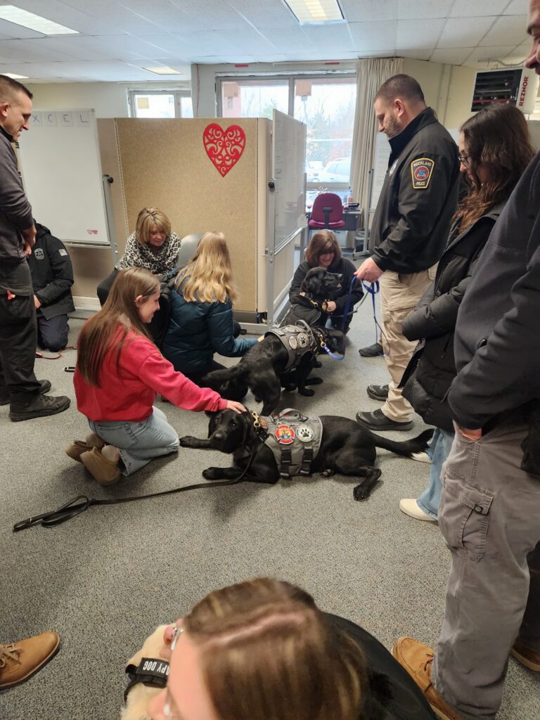 Mikey, Kinley, Rio and Daisy