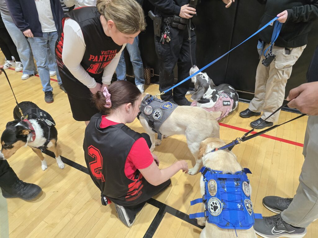 Comfort Dogs Opry, Lexi, Morgan and Starr at the WH Charity BB game