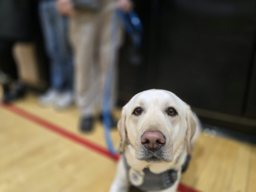 Morgan at the WH Charity BB game