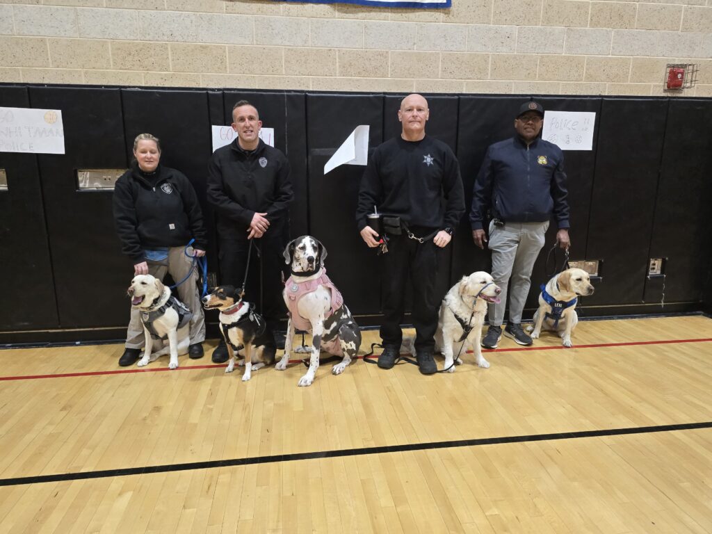 Our Plymouth County Comfort Dog Teams at the WH Charity BB game