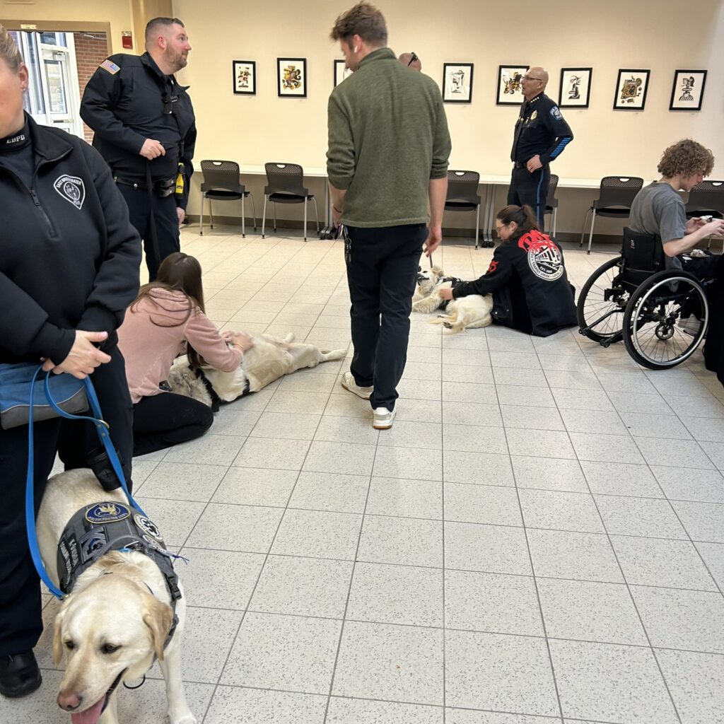 Comfort Dogs at the annual HWC conference.