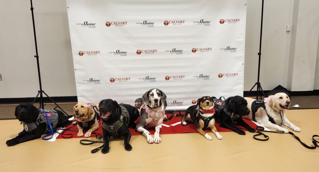 Kinlay, Sasha, Peddocks, Starr, Opry, Rio, Ziva