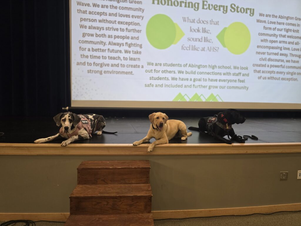 Comfort dogs on stage