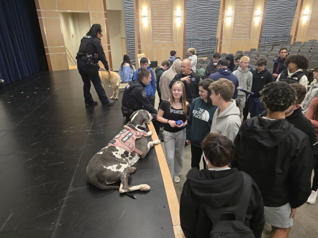 Comfort Dogs on stage