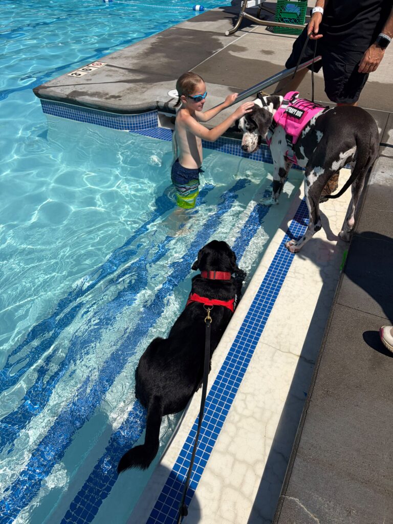 Rio & Starr in Pool
