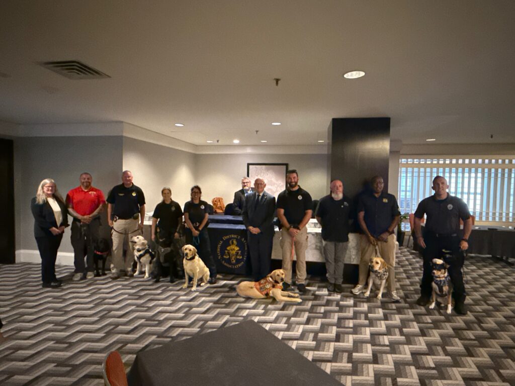 Members of the Plymouth County Comfort Dog Program