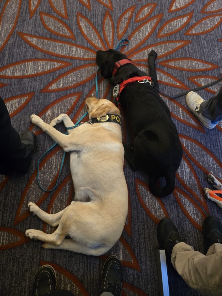 Harlow & Rio